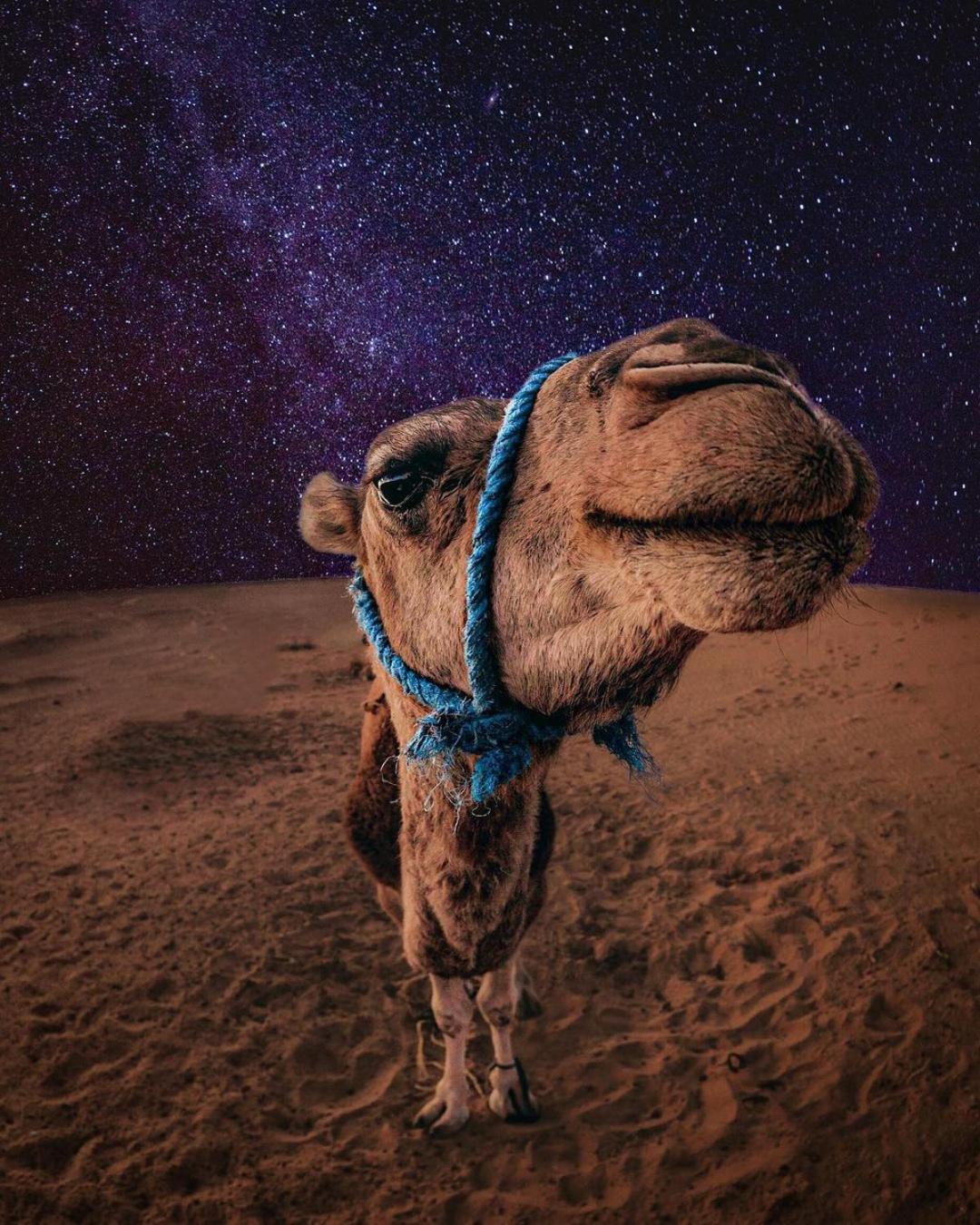 Merzouga Luxury Magic Nights Dış mekan fotoğraf